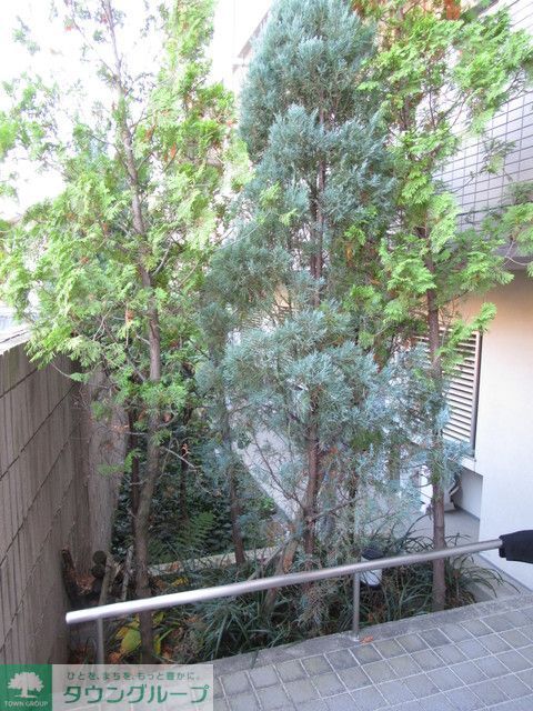 庭