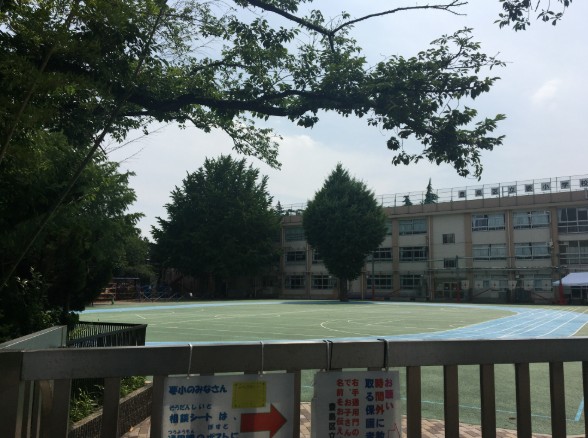 小学校　豊島区立要小学校（小学校）まで1780m
