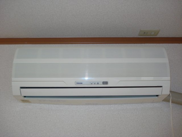 team IWATAのその他写真