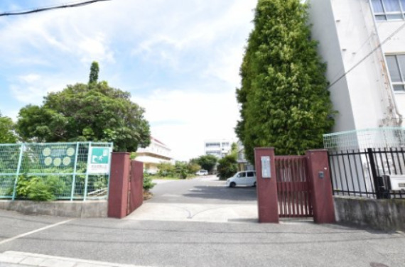 中学校　高石市立高南中学校（中学校）まで1510m