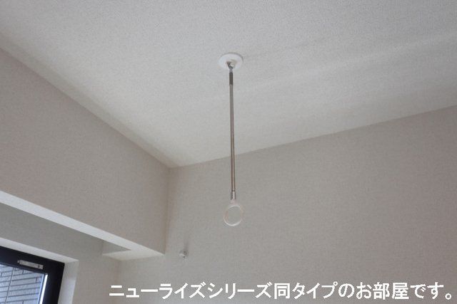 カナサティーラのその他写真