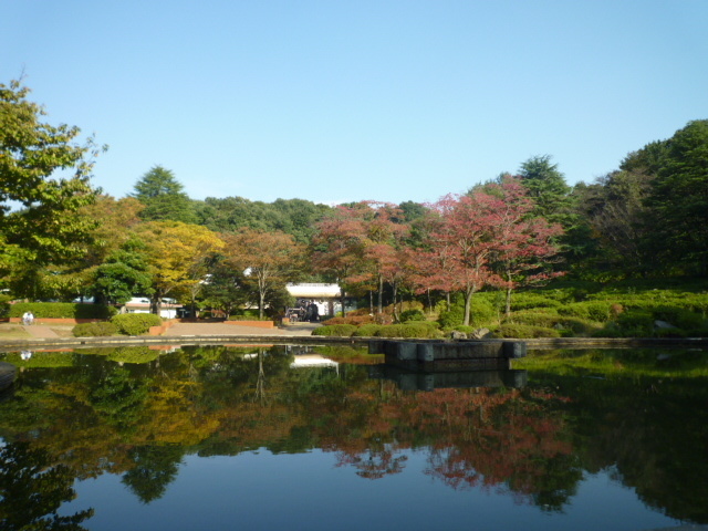 公園　生田緑地（公園）まで800m