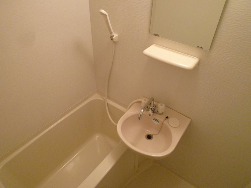 洗面設備　※写真は別号室です。