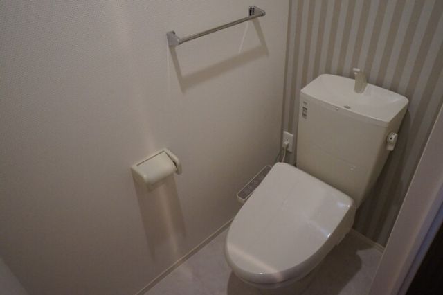 ヴェル ドミールのトイレ写真