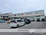 ドラックストア　セイムス　松山中央店（ドラッグストア）まで446m