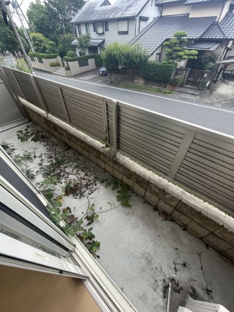 庭