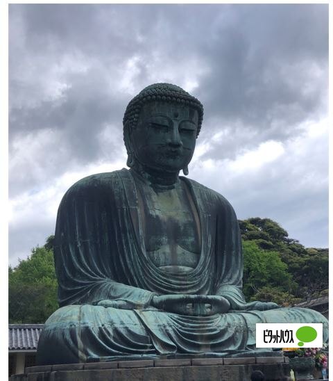 その他　大仏（その他）まで700m