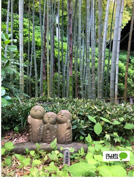 その他　長谷寺（その他）まで500m