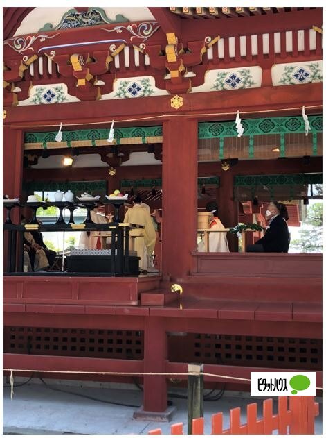 その他　鶴岡八幡宮（その他）まで3100m