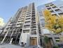 谷町四丁目駅より徒歩7分 11階 築1年11ヶ月の賃貸物件
