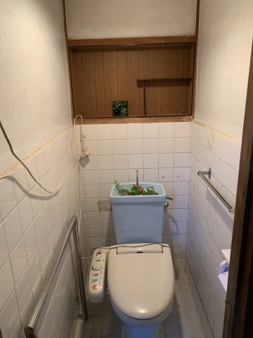 トイレ　トイレです