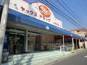 その他　ヤックスドラッグ（その他）まで700m