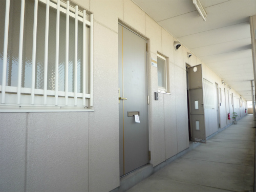 玄関　室内写真は301号室参照。