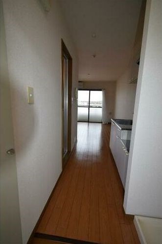 その他　室内洗濯機置き場です。(同建物の別部屋の写真です。)