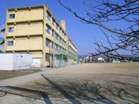小学校　川西市立　清和台小学校（小学校）まで195m