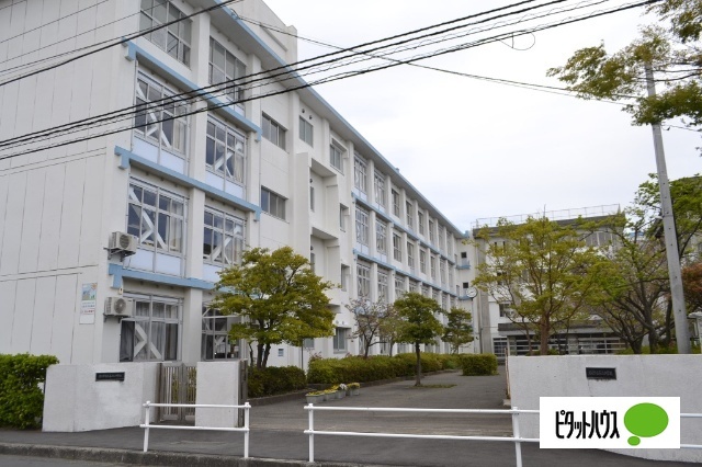 小学校　沼津市立第五小学校（小学校）まで742m