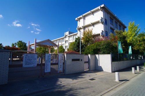小学校　尼崎市立　名和小学校（小学校）まで468m