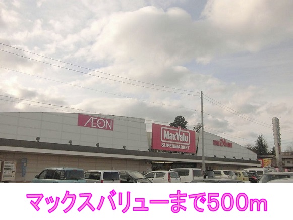 スーパー　マックスバリュー（スーパー）まで300m