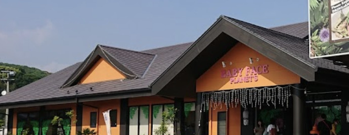 飲食店　ベビーフェイスプラネッツ佐賀江北店（飲食店）まで727m