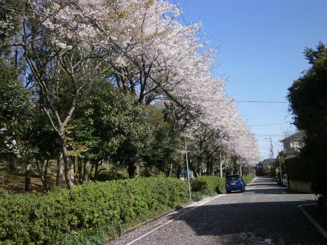公園　二俣川ニュータウン緑地（公園）まで536m