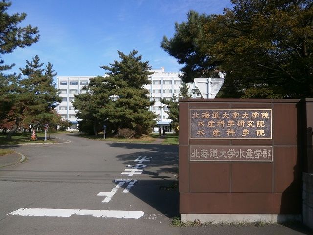 大学・短大　北海道大学 水産学部（大学・短大）まで1300m
