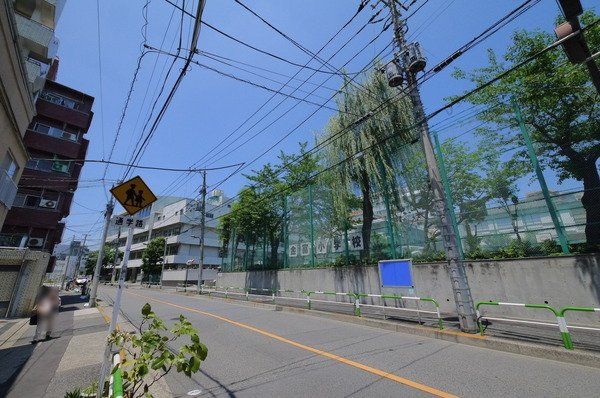 小学校　文京区立金富小学校（小学校）まで700m