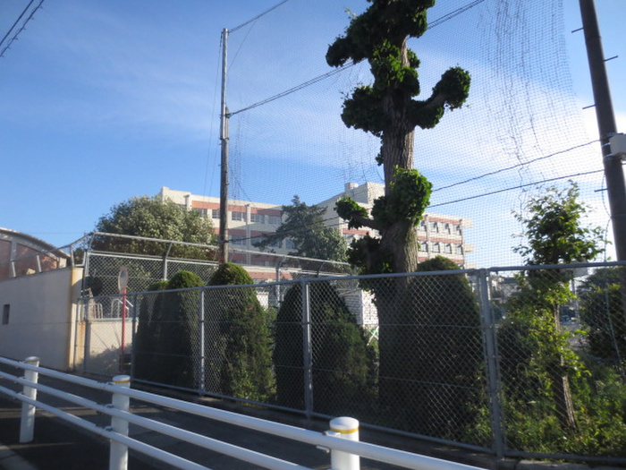 小学校　陽明小学校（小学校）まで1180m