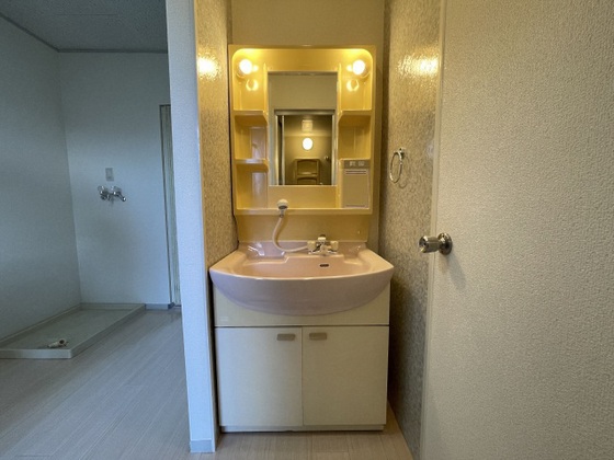 洗面設備　他号室のお写真です