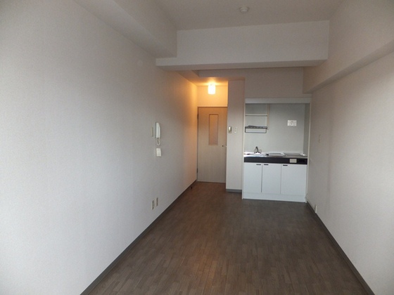 居室・リビング　※別部屋の写真です