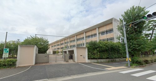 小学校　芦屋市立精道小学校（小学校）まで671m