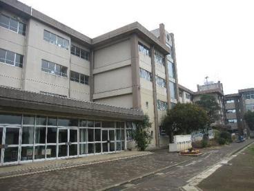 小学校　小田原市立酒匂小学校（小学校）まで247m