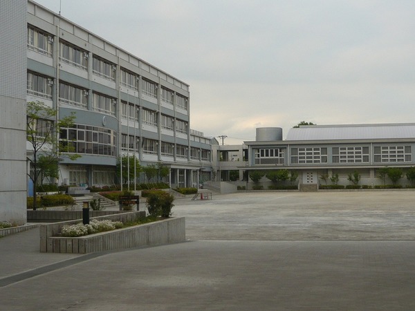 小学校　川崎市立高津小学校（小学校）まで495m