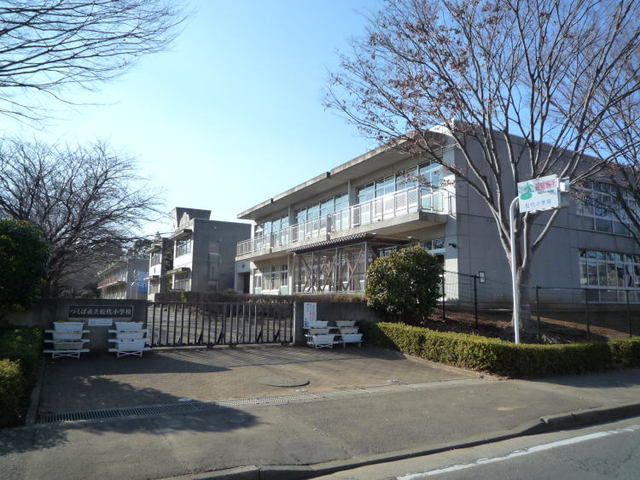 小学校　松代小学校（小学校）まで250m