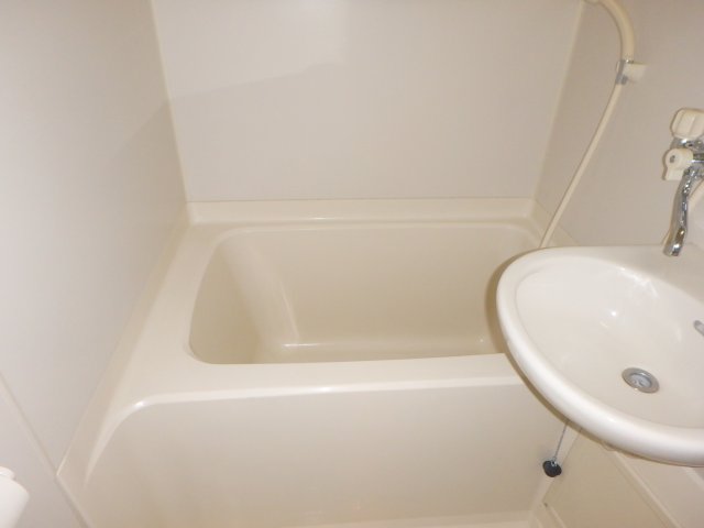 バス・シャワールーム　反転タイプの他のお部屋の参考写真です。