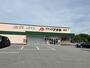 ショッピングセンター　クスリのアオキ岩瀬店（ショッピングセンター）まで1500m
