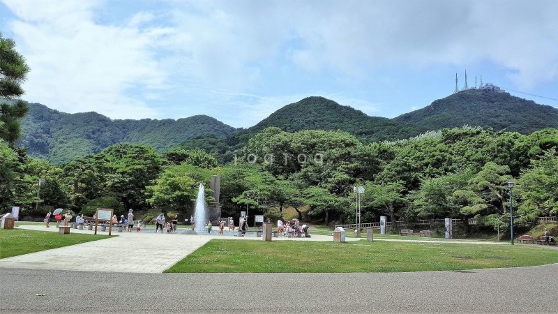 その他　函館公園（その他）まで710m