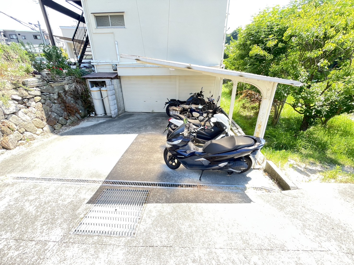佐伯文化のその他写真