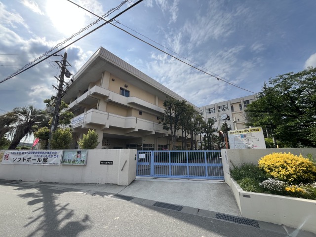 中学校　伊丹市立南中学校（中学校）まで914m