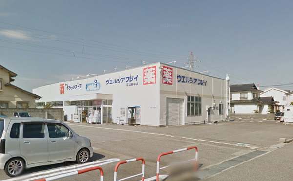 ドラックストア　ウエルシア富山婦中店（ドラッグストア）まで987m