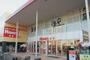 ホームセンター　島忠HOMES(ホームズ) 仙川店（ホームセンター）まで1235m