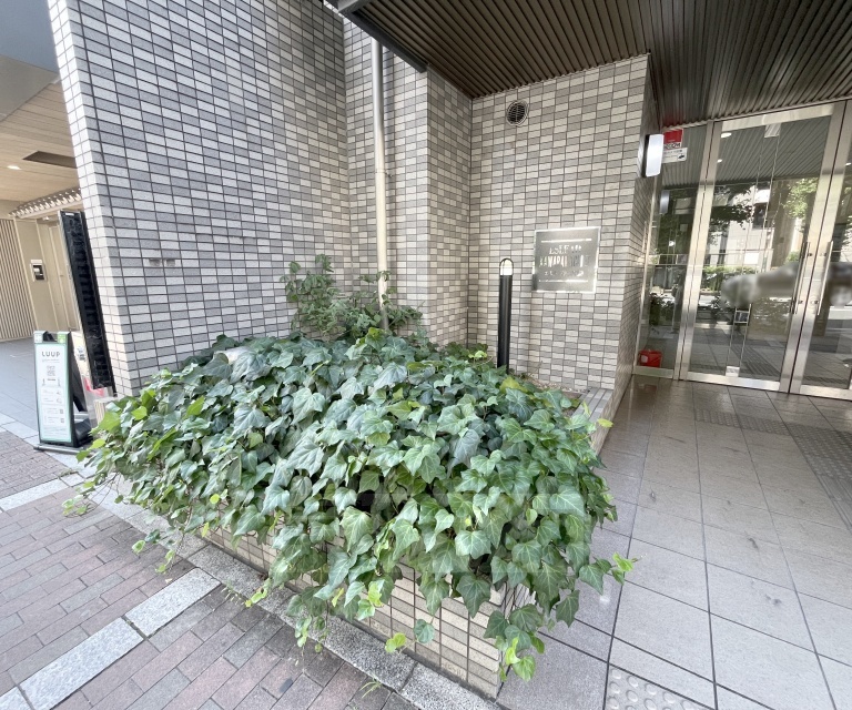庭
