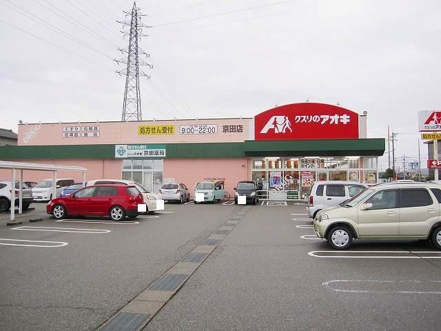 ドラックストア　クスリのアオキ（ドラッグストア）まで1100m