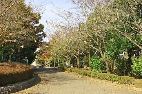 【レオパレスウィステリアの公園】