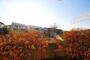 眺望　眺望