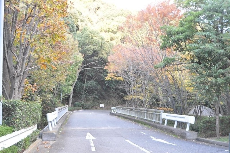 【ラヴィータ離宮の公園】