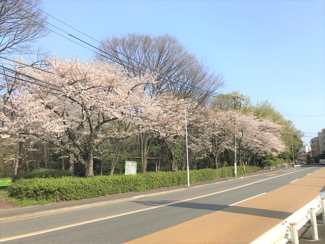 【ＣＯＺＹ茶屋ヶ坂のその他】