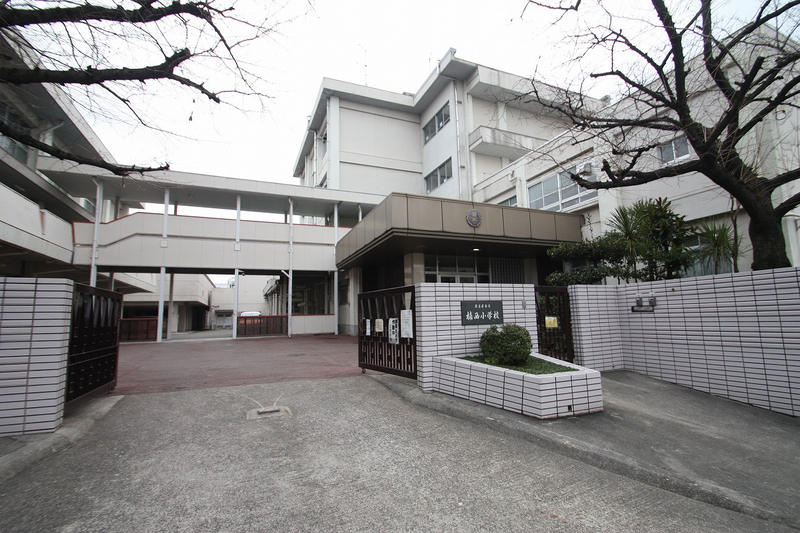 小学校　楠西小学校（小学校）まで88m