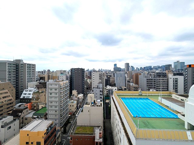 眺望　南向き日当たり眺望良好、中央区・千代田区のビル見えます