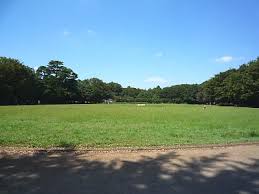 その他　井の頭恩賜公園競技場（その他）まで905m