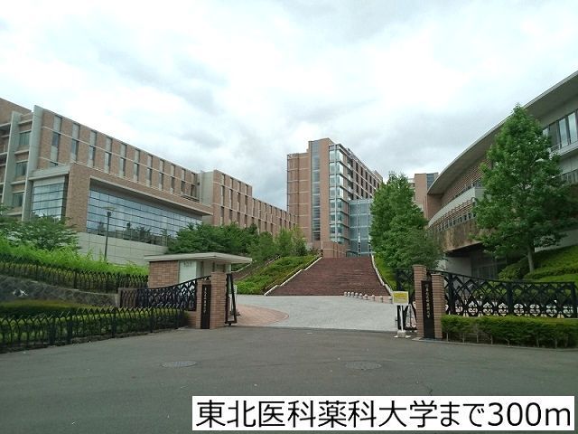 大学・短大　東北医科薬科大学（大学・短大）まで300m